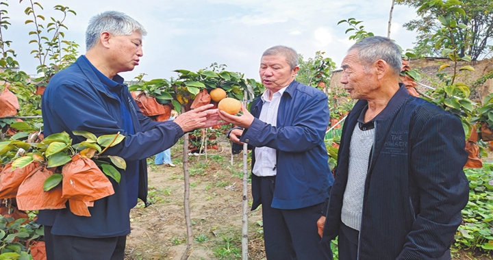 洪洞縣：庭院經濟 助農增收